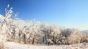 Winter Panorama (1080p)